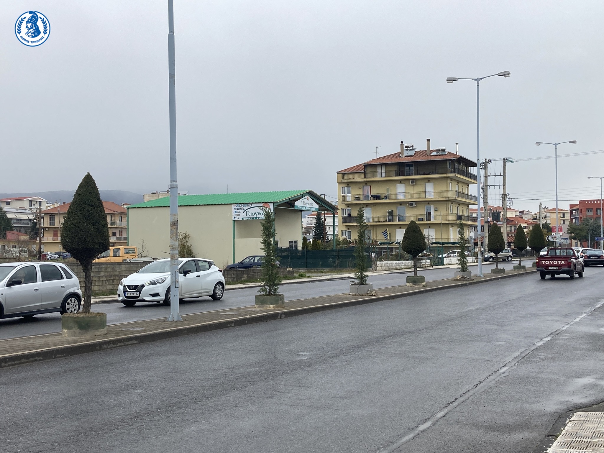 dendrofyteyseis-leoforos-ohe-moutzouropoulou