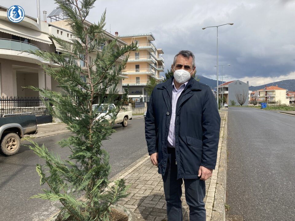 dendrofyteyseis-leoforos-ohe-moutzouropoulou