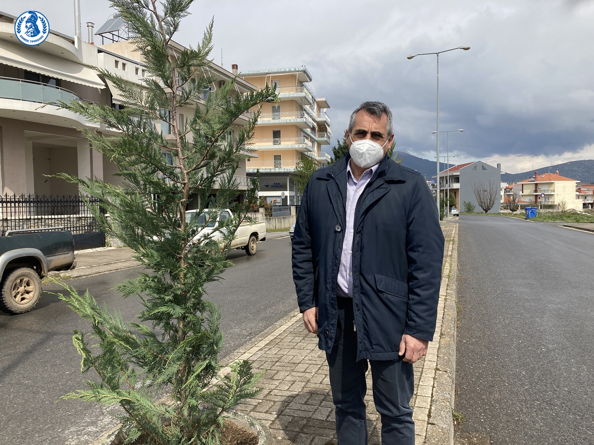 dendrofyteyseis-leoforos-ohe-moutzouropoulou
