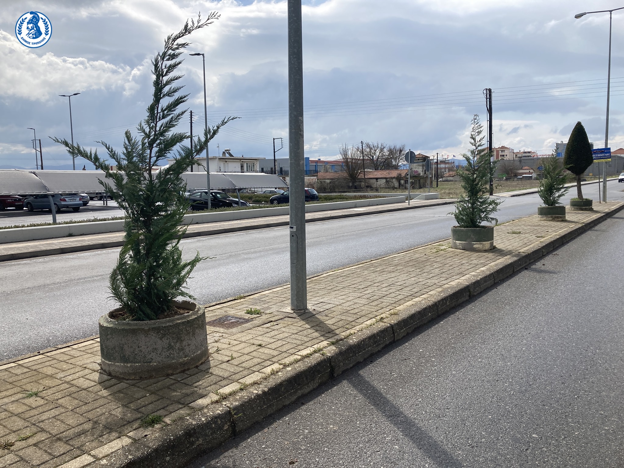 dendrofyteyseis-leoforos-ohe-moutzouropoulou