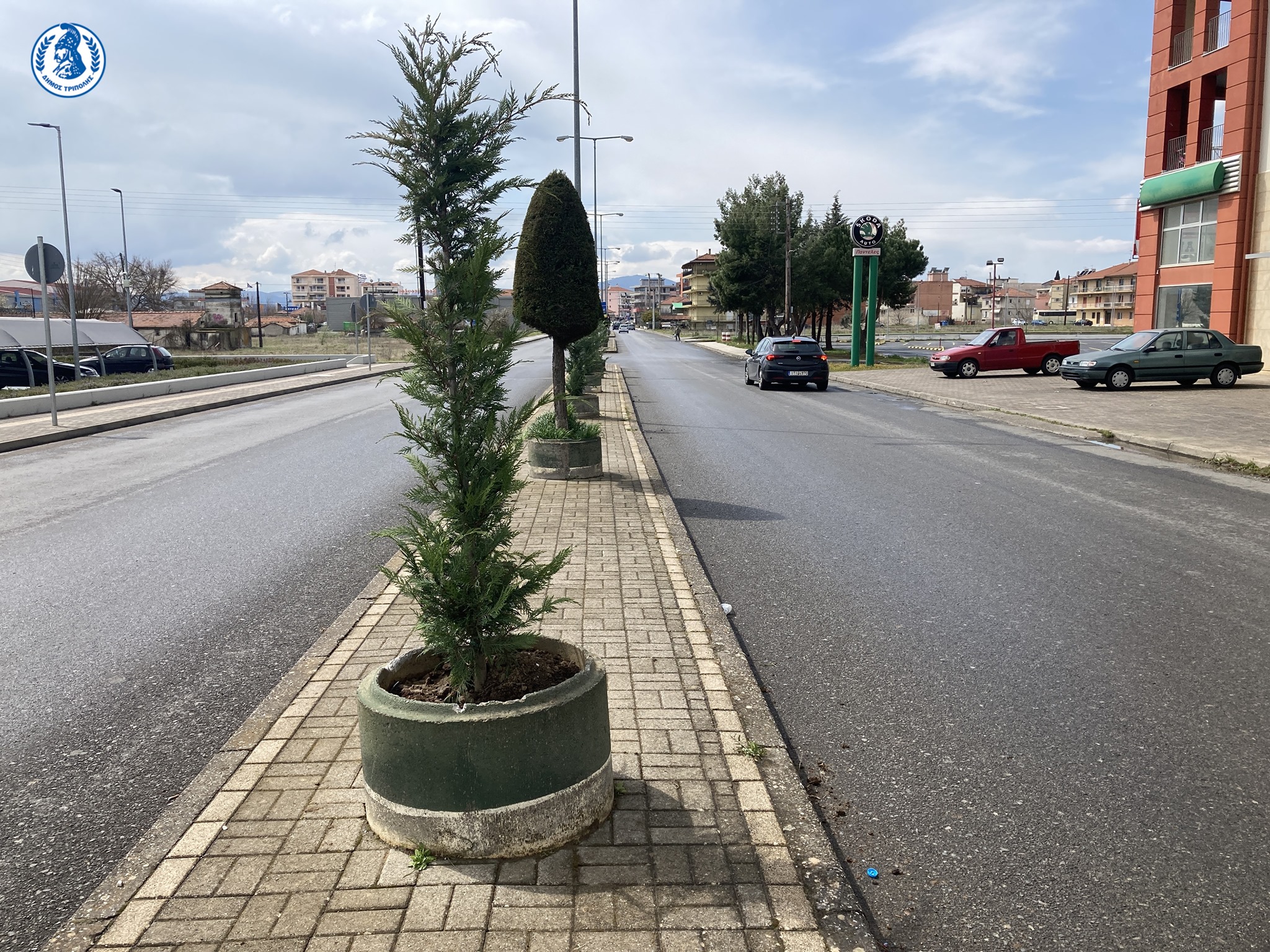 dendrofyteyseis-leoforos-ohe-moutzouropoulou