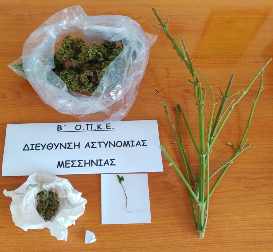 messinia-kalliergeia-kannabis