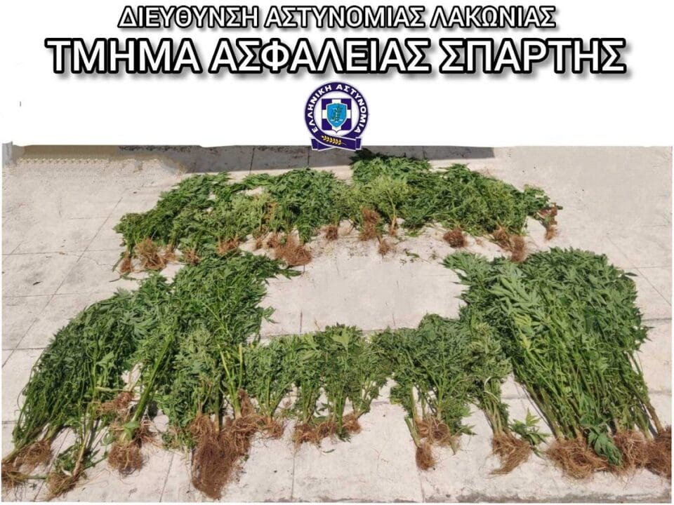 lakonia-narkotika