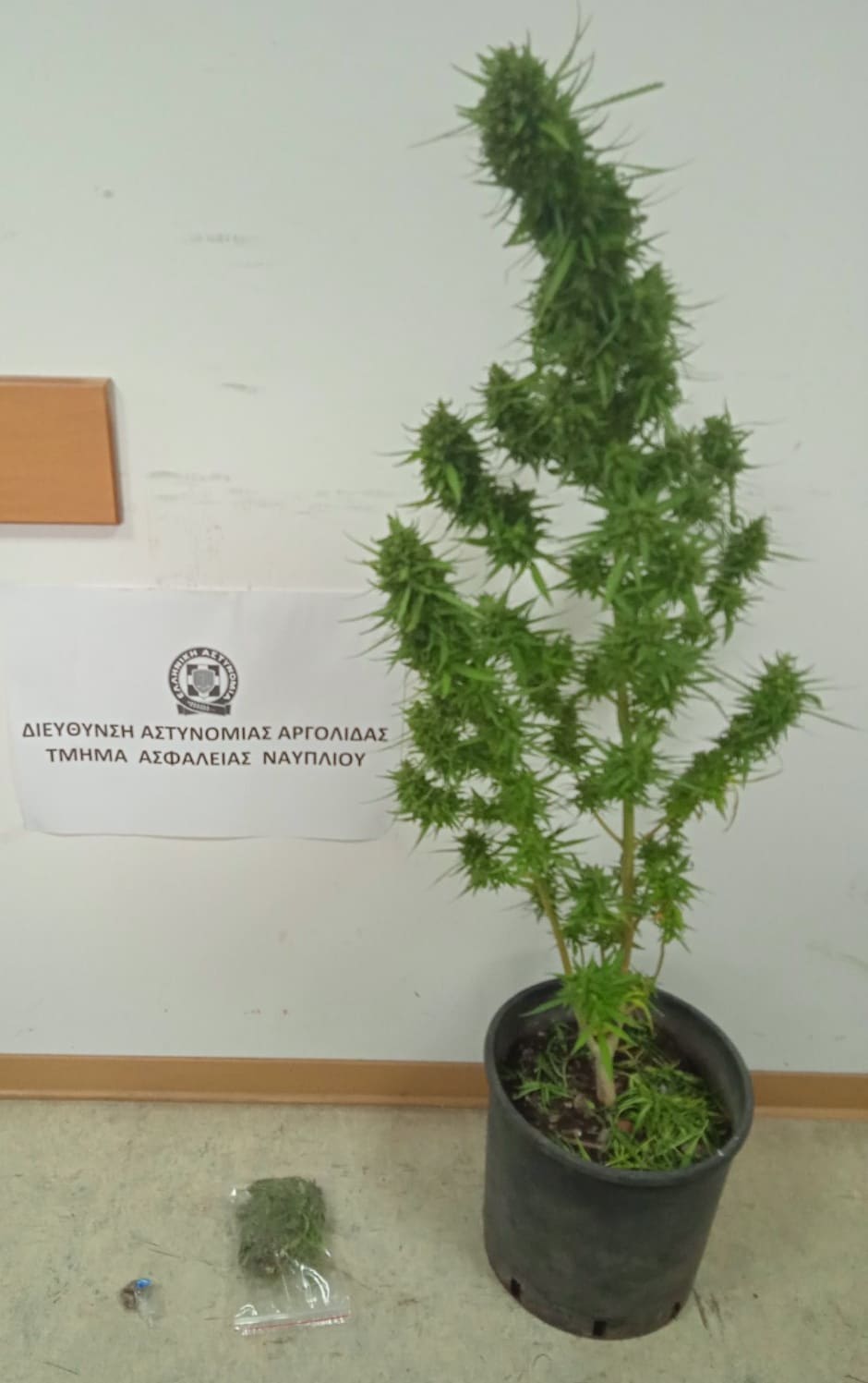 narkotika-syllipsi-argolida