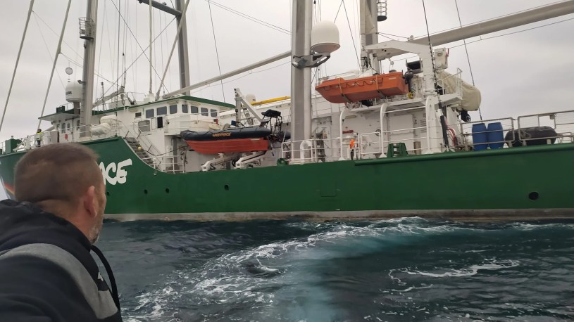 greenpeace-rainbow-warrior