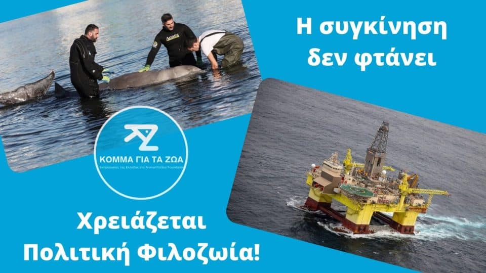 komma-gia-ta-zoa-koitos-alimos