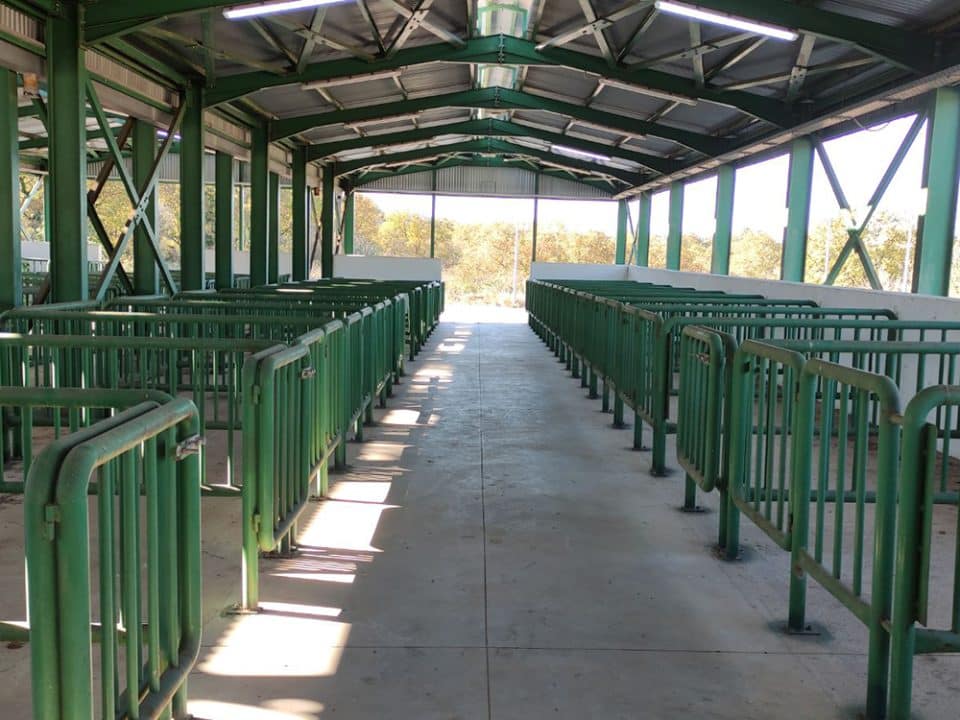 stegasmeni-zoagora-kopanaki