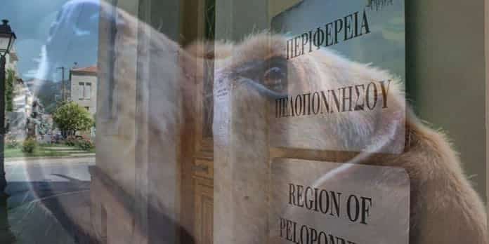 perifereia-peloponnisou-yiothesia-skulon