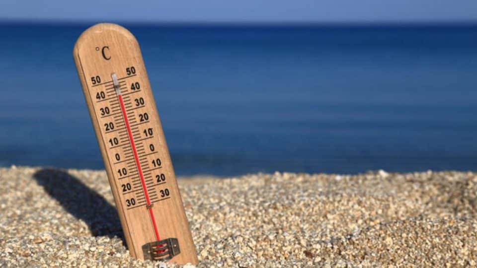kafsonas-thermometro-thalassa