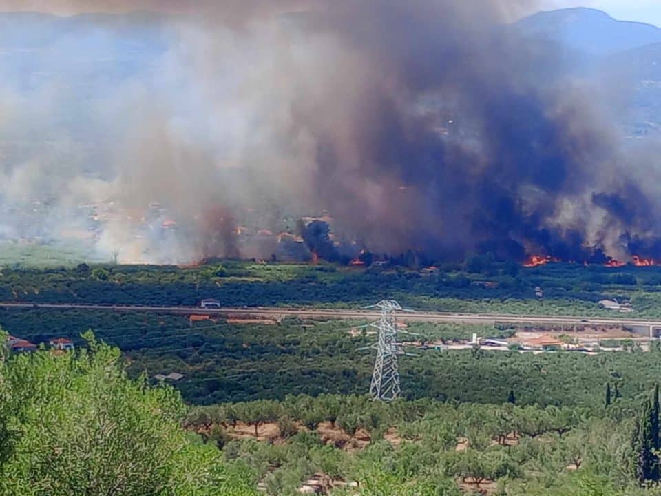 Φωτιά ξέσπασε στη Μεσσηνία