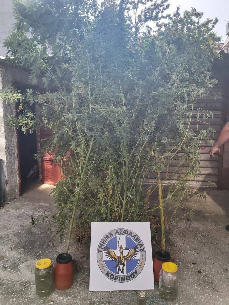 Συνελήφθη ένα άτομο για ναρκωτικά