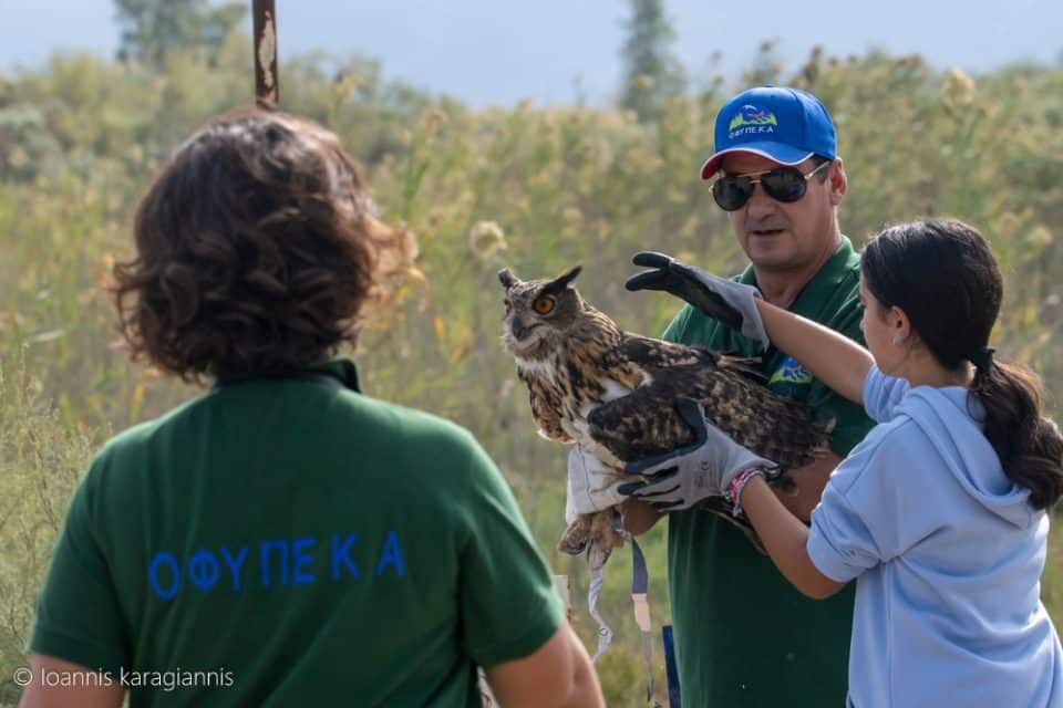 Υλικό από την γιορτή των πουλιών