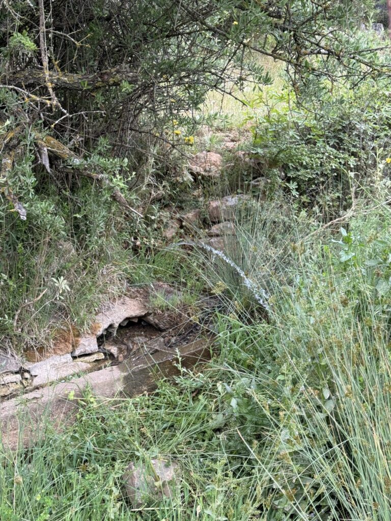 Εξόρμηση στα παλιά υδραγωγεία της Τριπολιτσάς από τον ΣΑΟΟ