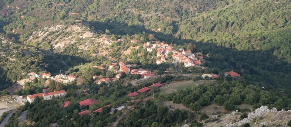 8ος Ορεινός Ημιμαραθώνιος Άνω Δολιανών 30/06/2024