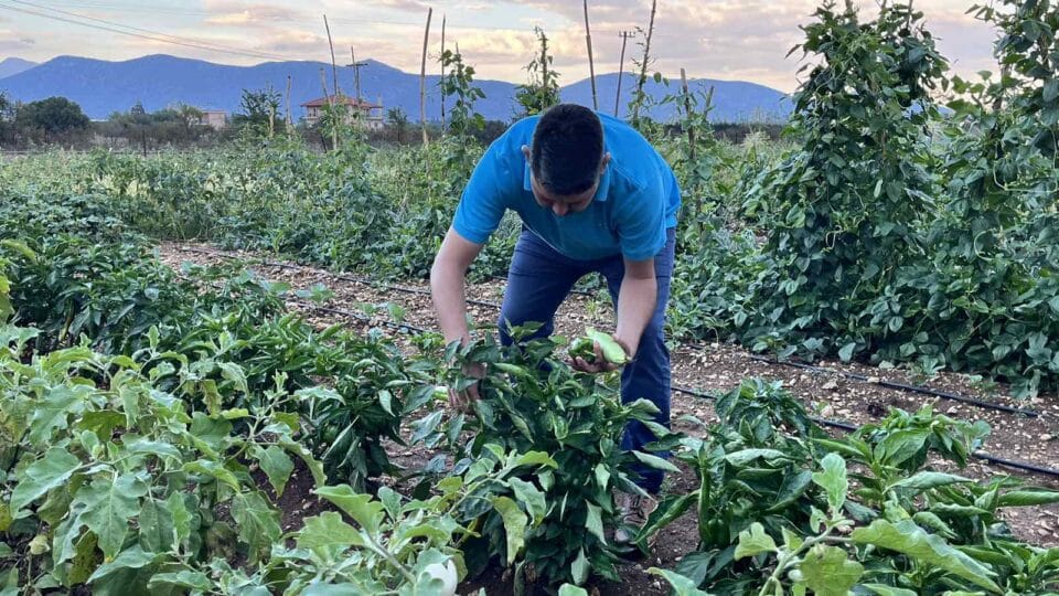 Προσφορά Αγροτικών Προϊόντων για το Κοινωνικό Παντοπωλείο του Δήμου