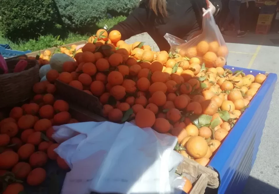 Αλλαγή μέρας λειτουργίας της λαϊκής αγοράς στην πλατεία Μαντινείας (31-12-2024)
