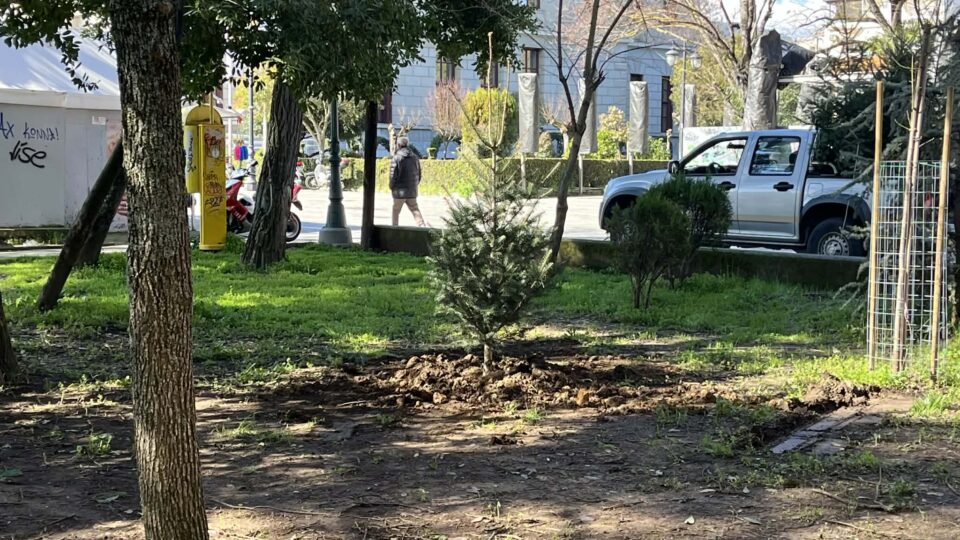 Κώστας Τζιούμης: «Επαναχρησιμοποιούμε τα έλατά μας και δίνουμε ζωή και οξυγόνο στην πόλη μας»