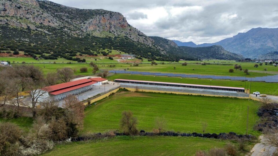 Δήμος Τρίπολης: “Εξασφαλίσαμε και την άδεια λειτουργίας του Δημοτικού Καταφυγίου”