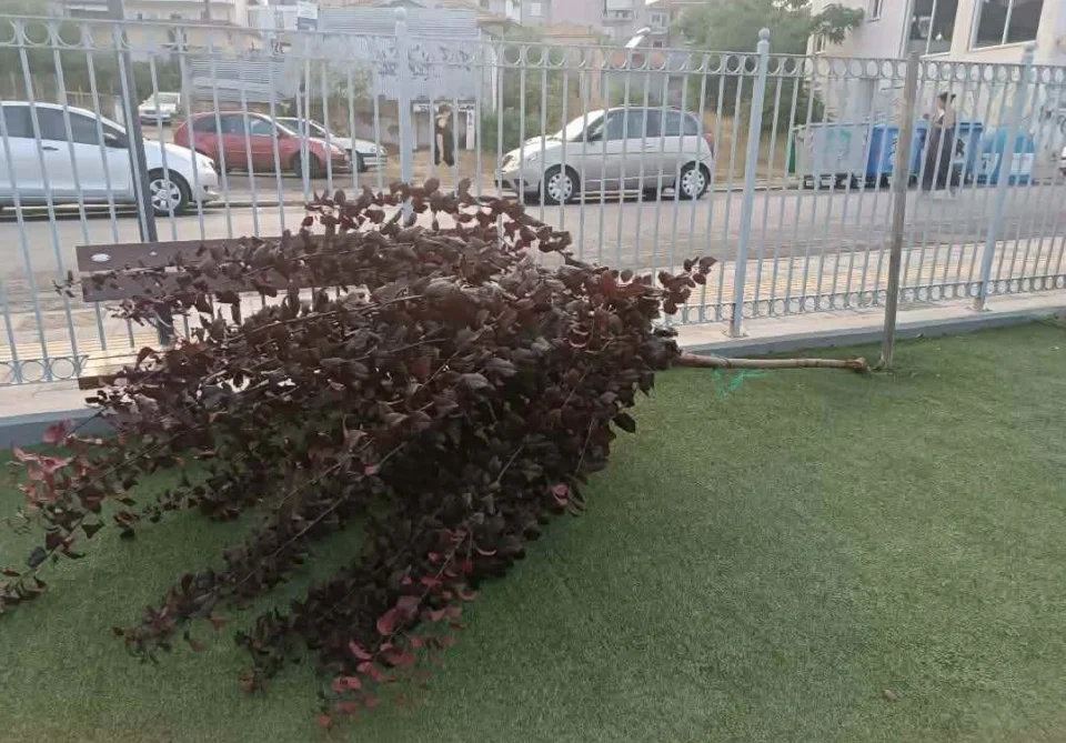Βανδαλισμός στην παιδική χαρά της Αγίας Βαρβάρας